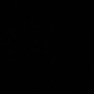 Meet your Posher, Avery